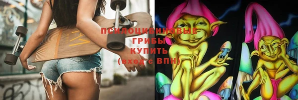 apvp Арсеньев