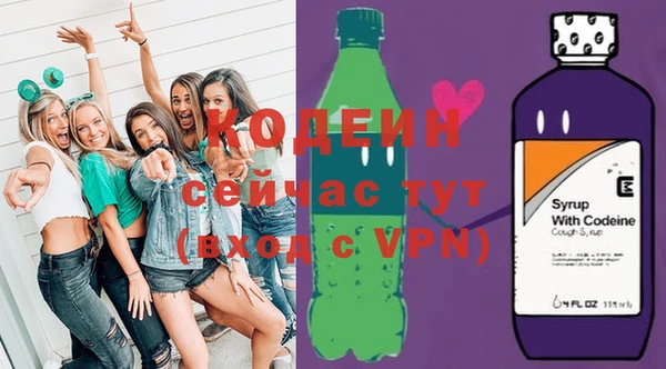 apvp Арсеньев