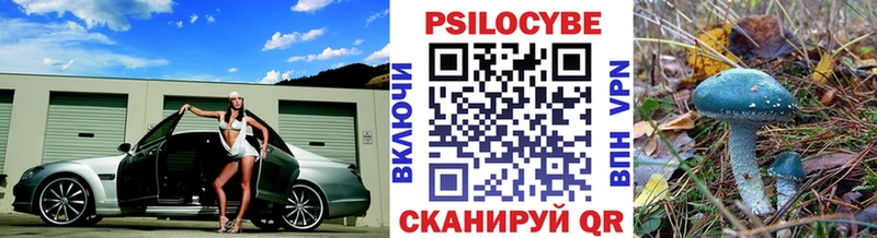 omg ссылка  Сертолово  Псилоцибиновые грибы Psilocybine cubensis 