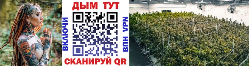 Бошки марихуана ГИДРОПОН дарнет шоп mega рабочий сайт Сертолово